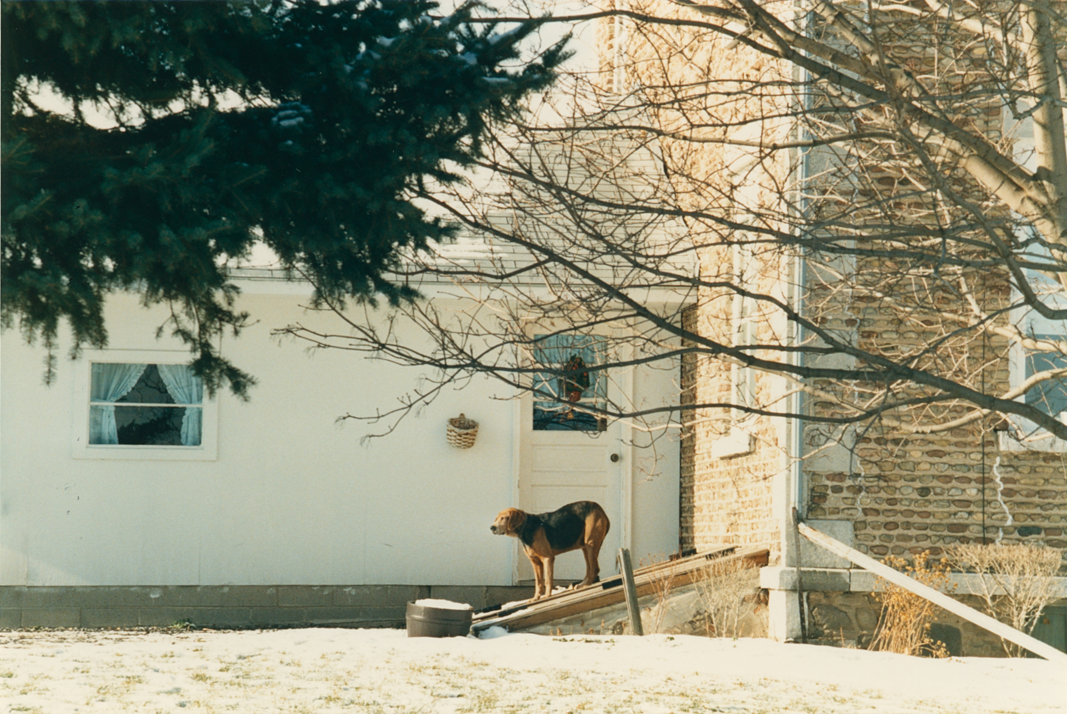 Phe-7 782 Townline Rd 2